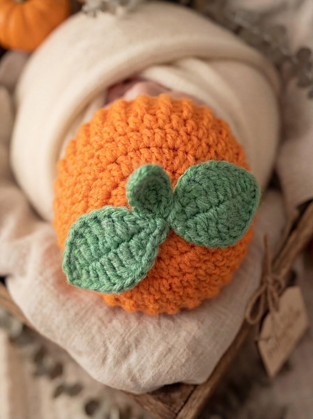 Pumpkin Fall Beanie