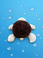 Sunny Shell Turtle